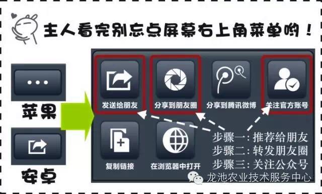 2024新澳正版資料免費分享，詳盡解析與實施指南_WSL 4.73.26專用版