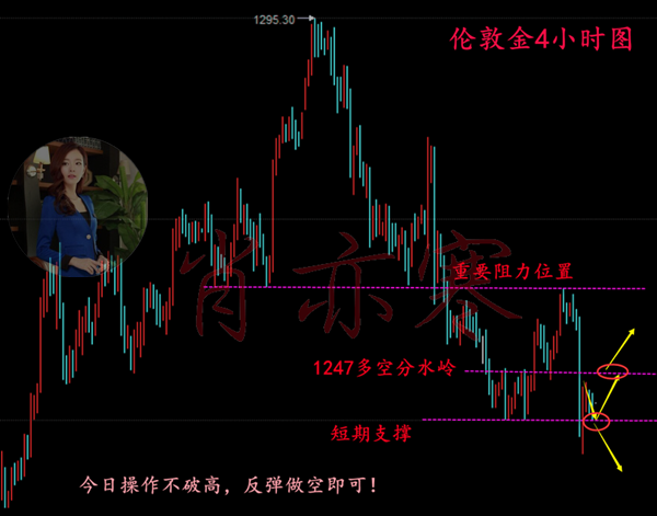 澳門新預測：今晚一肖詳解，JAD7.71.80豐富版深度分析