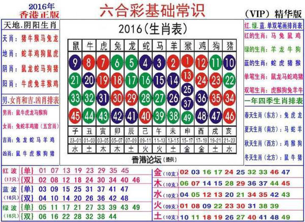 2024生肖49碼策略圖表，精巧布局FKX7.65.89管控版