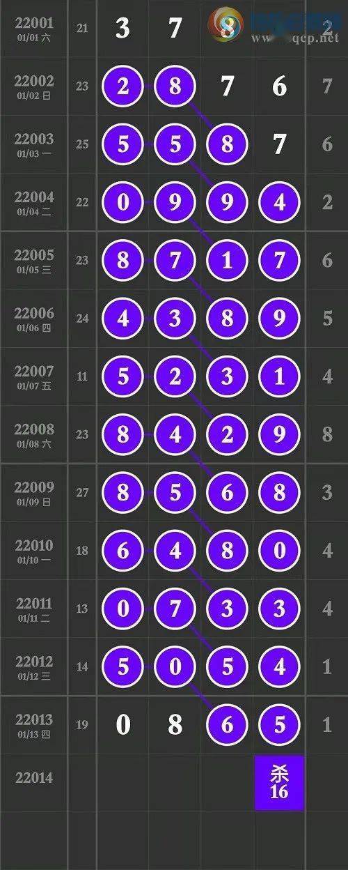 澳門王中王100精準數據解析：綜合評估與解答_白金版AIC796.43