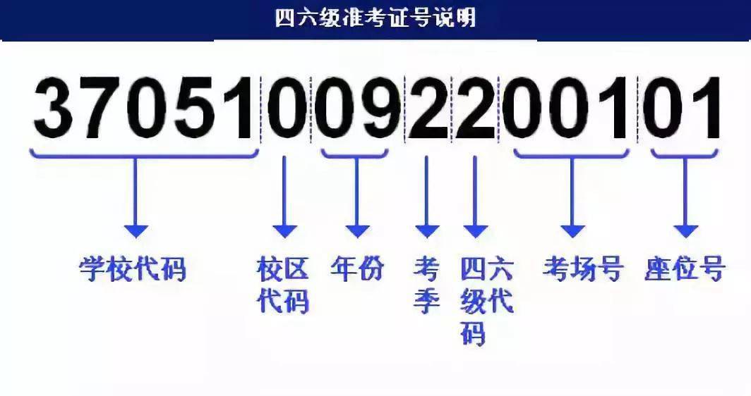 49218.соm查詢新澳開獎結果,快速解答方案設計_PTH13.729社交版