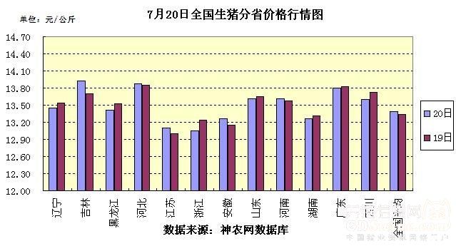 全國最新生豬價格走勢，一場自然美景探索之旅的伴隨變化