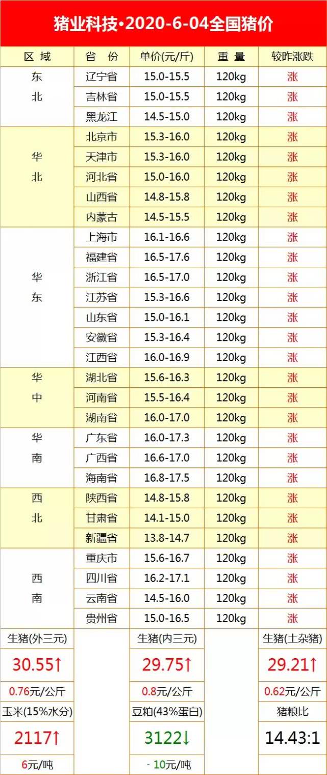 今日生豬價(jià)格行情及小巷深處的特色美食探索