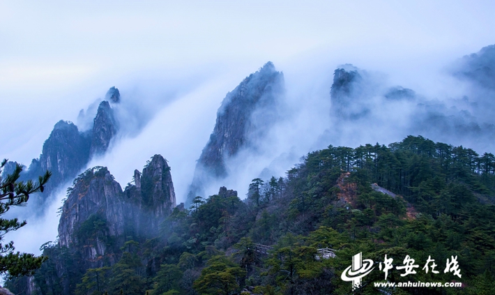 黃山最新動態報道