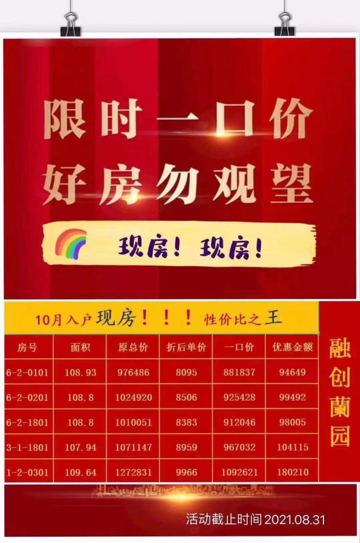 哈慈400044最新公告揭秘，背后的溫馨故事浮出水面