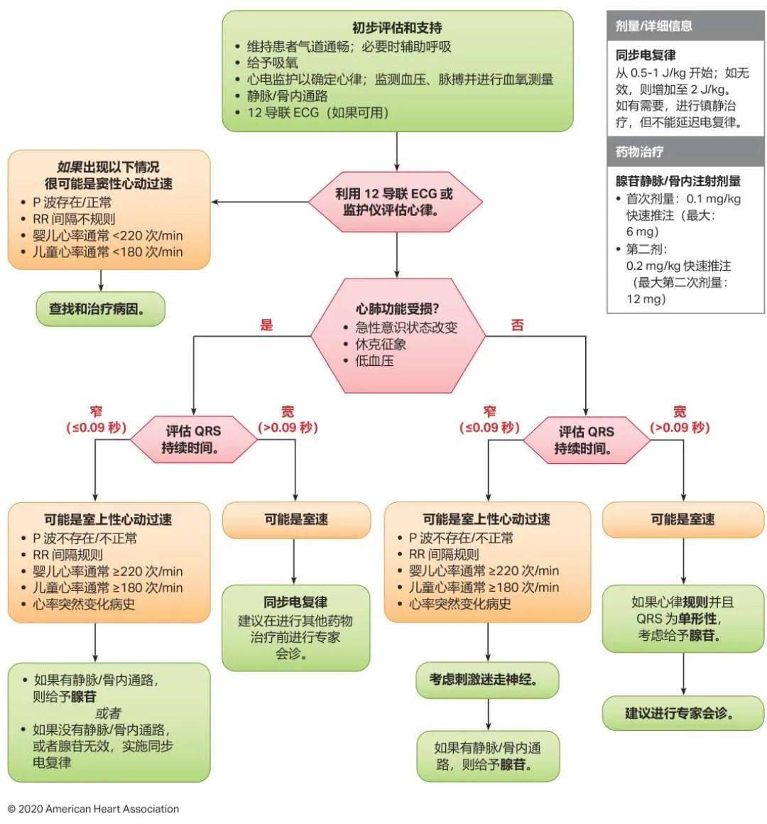 震撼發布！2024年最新心肺復蘇指南原版詳解與解讀??