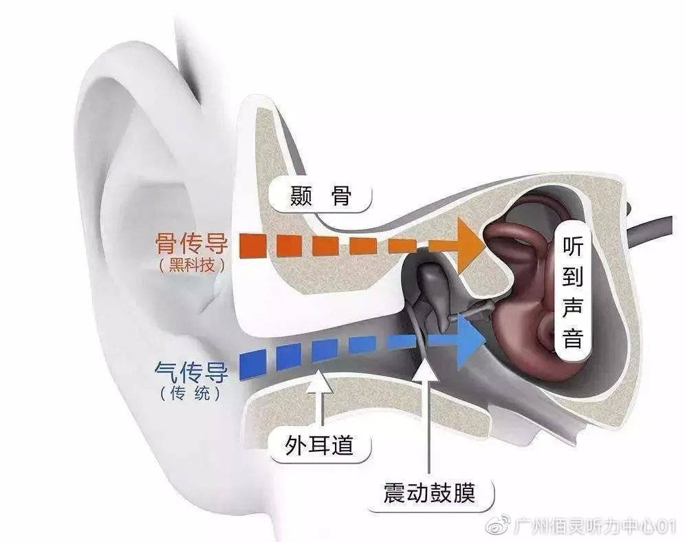 美國耳蝸的秘密，探秘最新款耳蝸耳機之旅