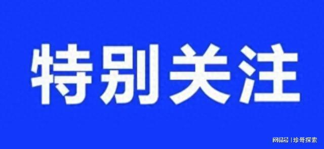 襄陽市程河鎮科技風潮涌動，前沿高科技產品魅力展示最新動態