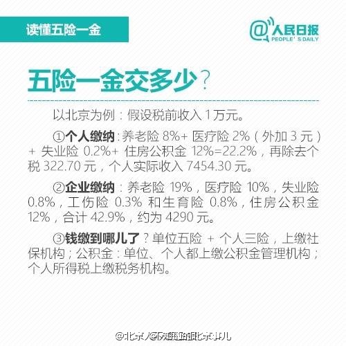 五險最新政策變化解析，力量與自信的源泉