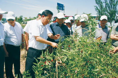 石嘴山蔣文齡，傳奇人物的現(xiàn)代足跡最新信息