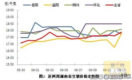 永州豬價行情，科技引領智能養豬新時代！