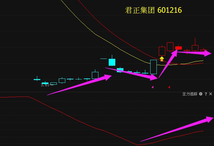 科技前沿進展動態，最新分析揭示601216發展趨勢