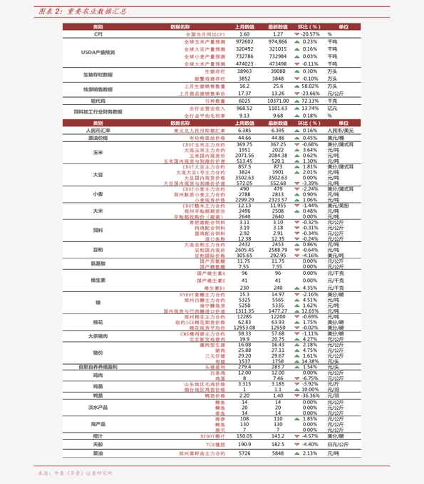 2024年12月 第80頁