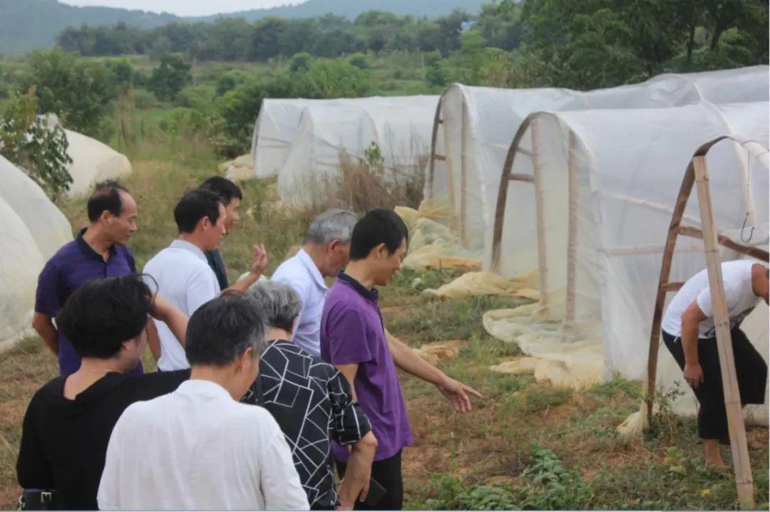 民和最新資訊,民和最新資訊獲取指南——初學者與進階用戶的必備手冊