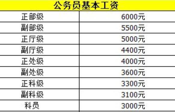 張公務員工資最新動態詳解，全面步驟指南與動態更新分析報告！