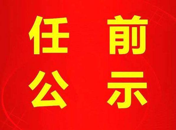 百色最新副處級干部公示,百色最新副處級干部公示——科技革新引領未來，百色干部公示系統全新上線